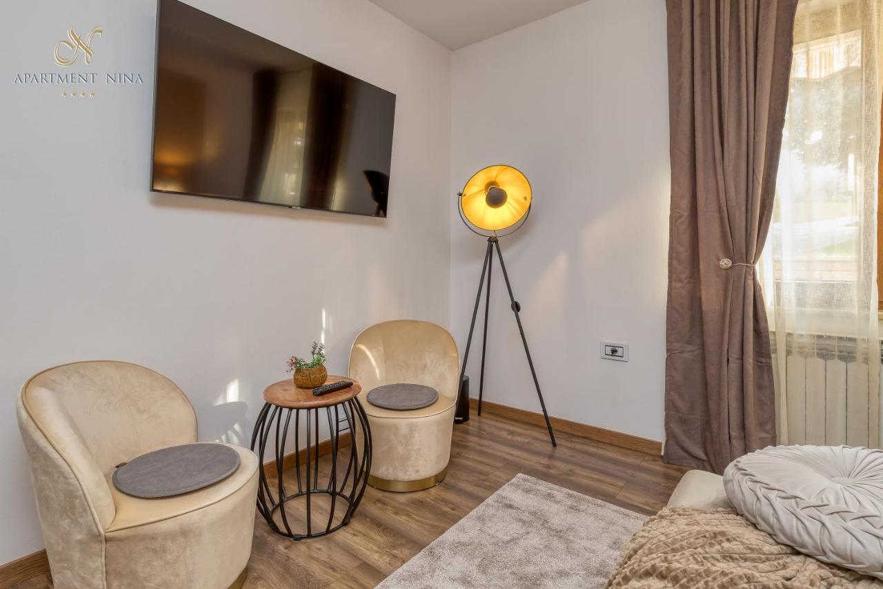 Apartment Nina Пазин Экстерьер фото