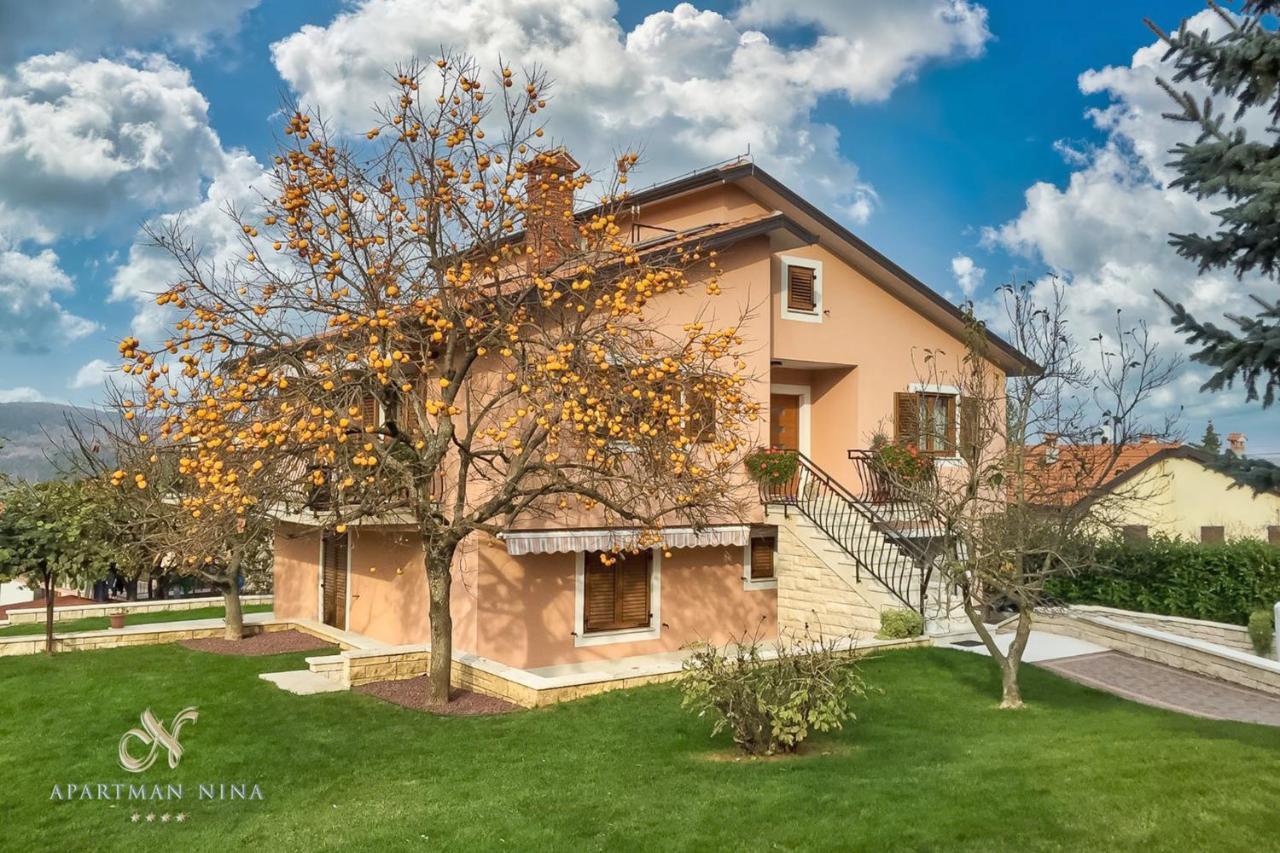 Apartment Nina Пазин Экстерьер фото