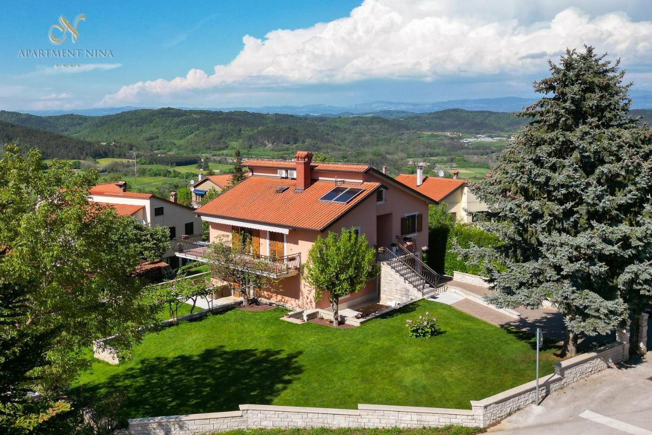 Apartment Nina Пазин Экстерьер фото
